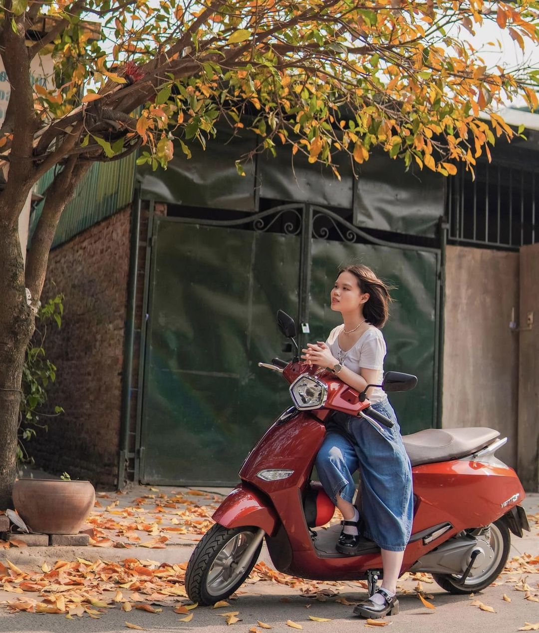 "Đấu Trường" VinFast: Vento Neo vs Vento S - Bạn Chọn Xe Điện?